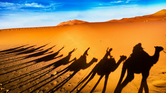 [Driving Tour] Silk Road 12 Days